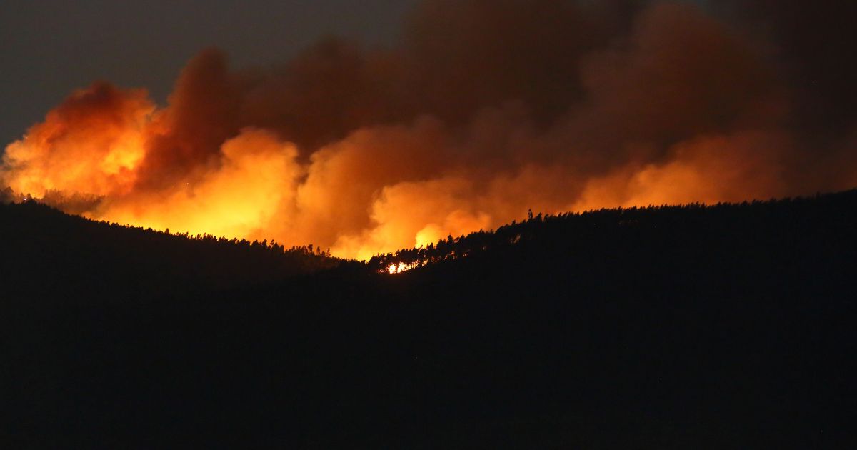 Portugal declara estado de calamidad mientras los incendios forestales arrasan sin control