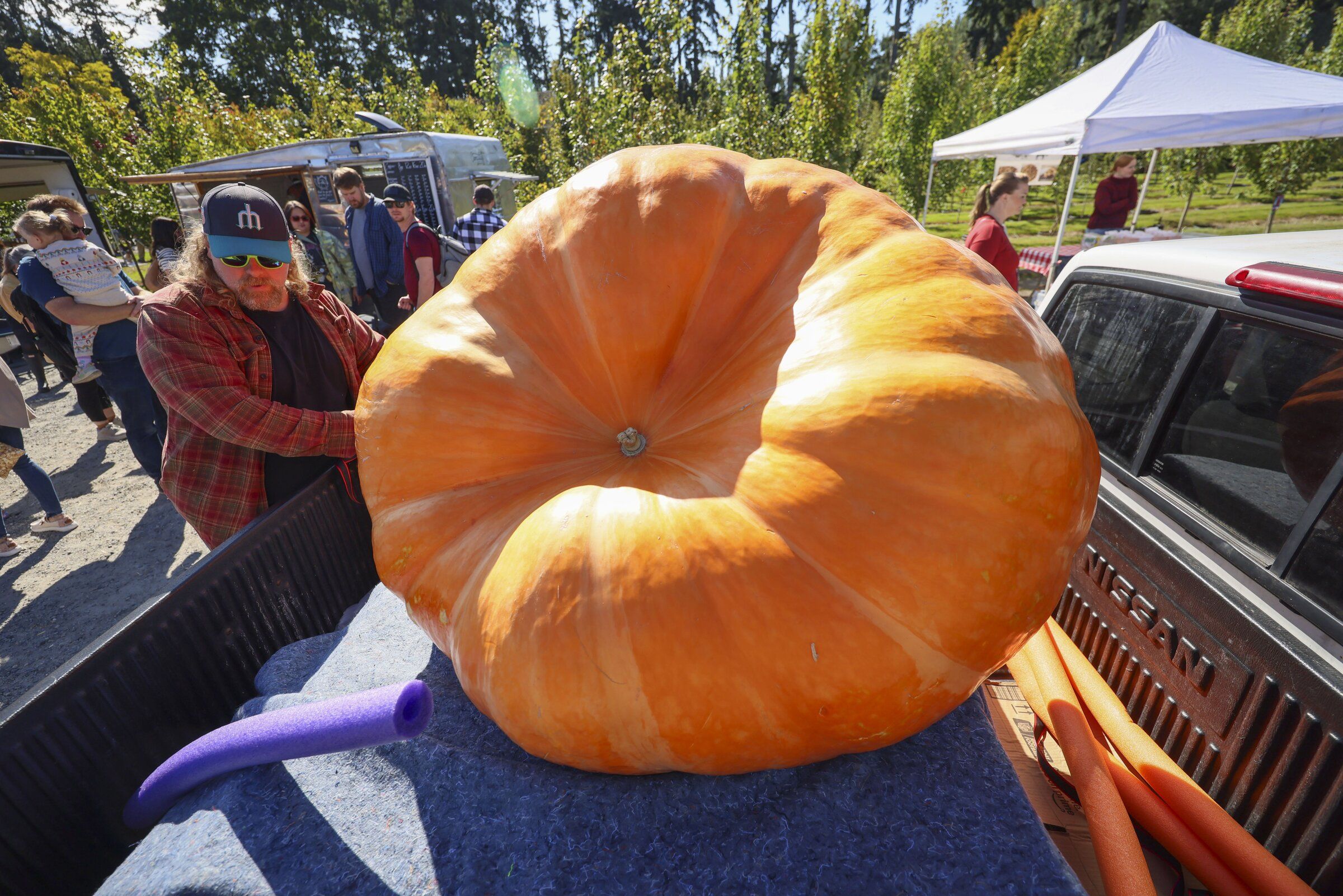What does it take to grow a giant pumpkin? | The Seattle Times