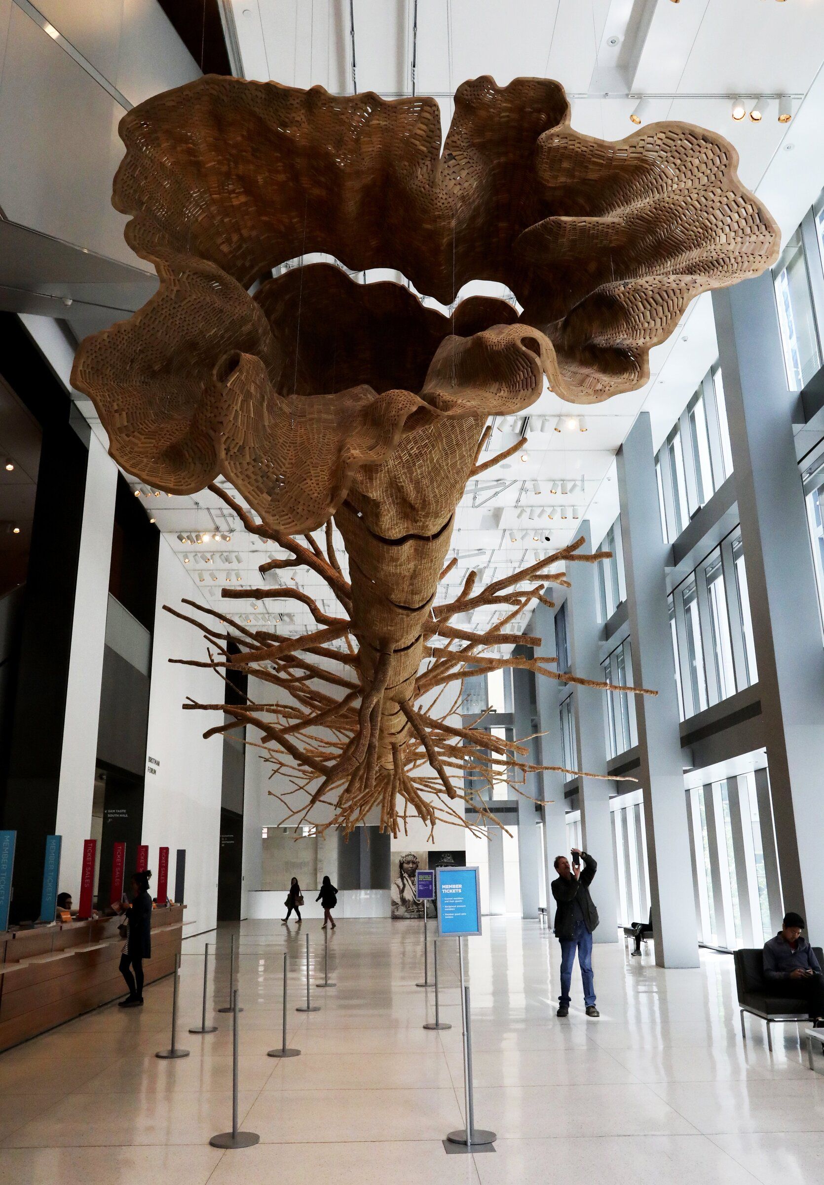 Seattle Art Museum's giant tree sculpture will come down next year