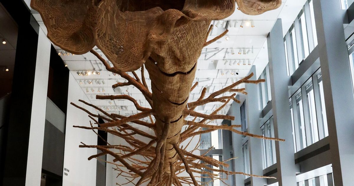 Seattle Art Museum’s giant tree sculpture will come down next year