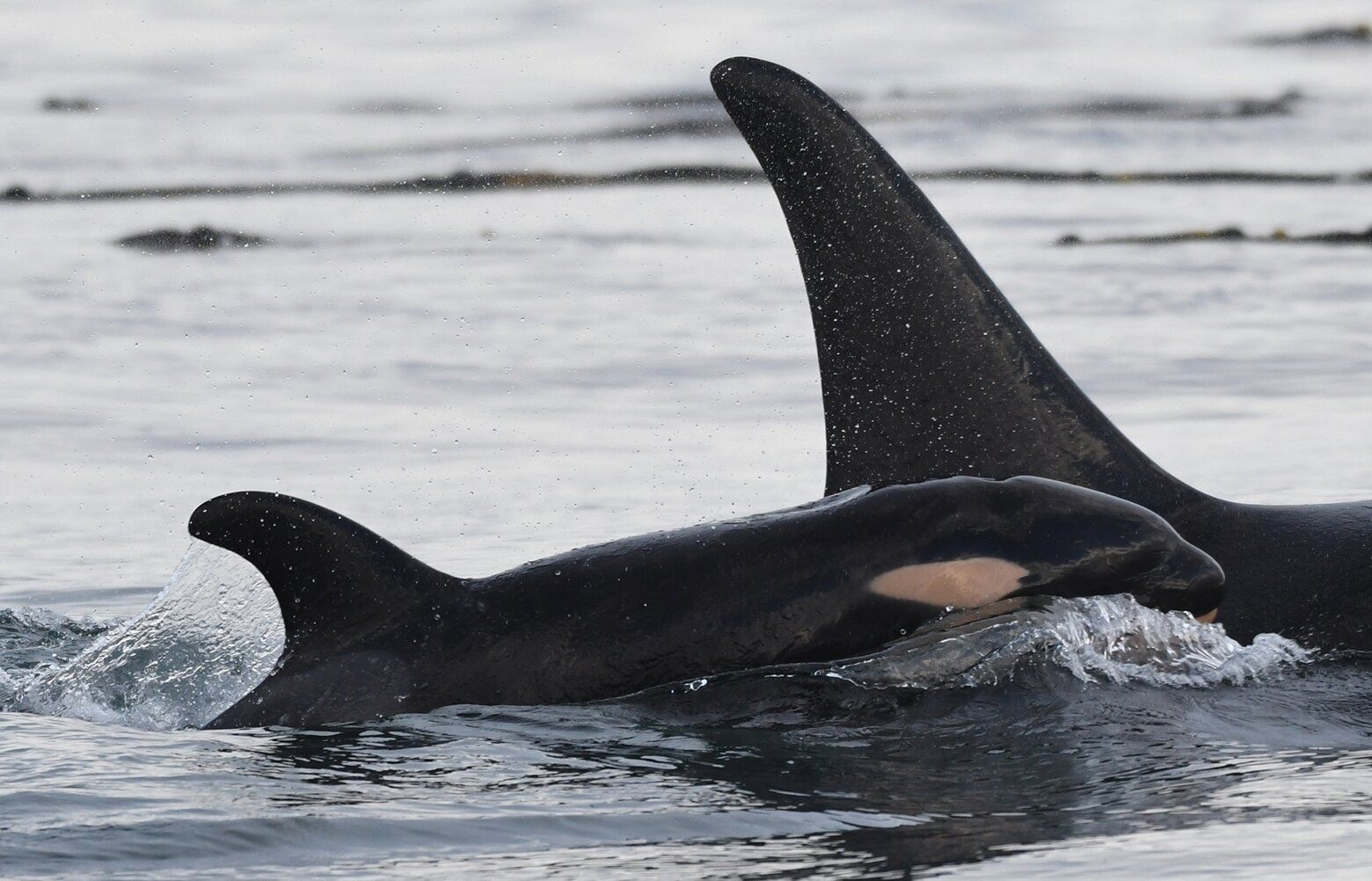 10032024_tzr_tzr_143013.jpg?d=