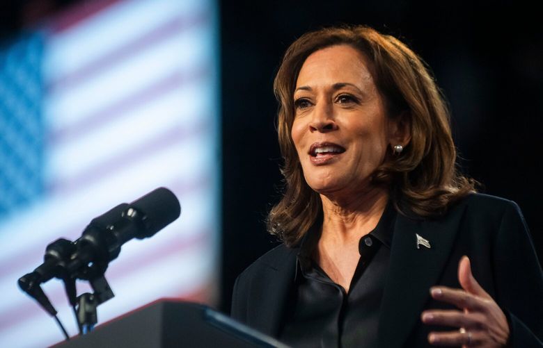 Vice President Kamala Harris addresses supporters during a rally on Friday, Oct. 4, 2024, at Dort Financial Center in Flint, Michigan. (Katy Kildee/The Detroit News/TNS) 123655770W 123655770W