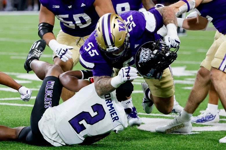 Washington Huskies defensive lineman Jacob Bandes rips off the helmet of Weber State Wildcats running back Adrian Cormier during the second quarter Saturday, Aug. 31, 2024 in Seattle. (Jennifer Buchanan / The Seattle Times)