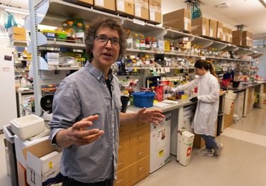 David Baker, a UW professor who grew up in Seattle, wins Nobel Prize ...