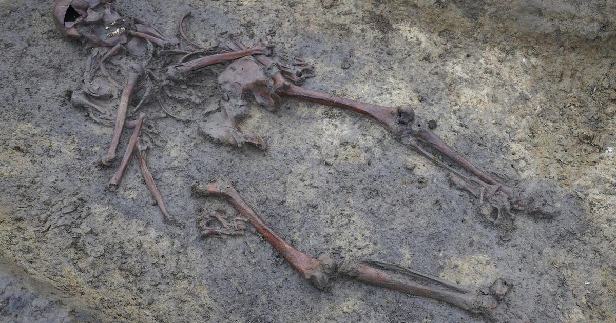 En Dinamarca se han desenterrado 50 esqueletos bien conservados de la época vikinga, un descubrimiento poco común