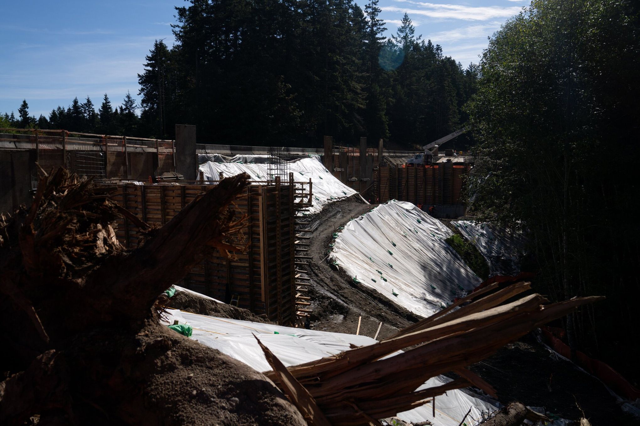 Massive WA salmon recovery plan scrutinized with latest $100M project