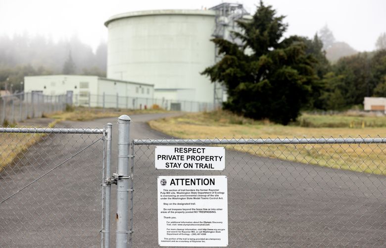 Ennis Creek and its main tributary, White Creek, have other problems that affect salmon, including the polluted former Rayonier Mill site near the Strait of Juan de Fuca. (Nick Wagner / The Seattle Times)