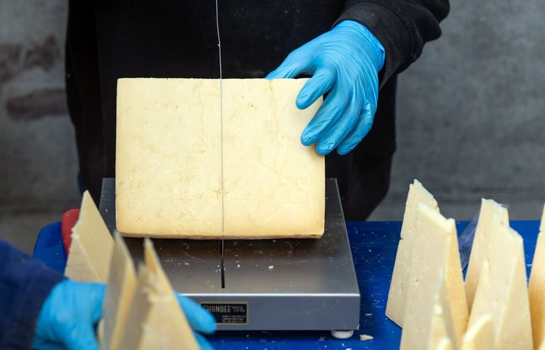 FILE – Workers cut and pack Cheddar at a dairy in Evercreech, southern England, on Oct. 19, 2023. Neal’s Yard, a leading cheese retailer in London, says that a shipment of 22 metric tons of rare Cheddar have disappeared in what appears to be the biggest con to hit their industry in decades. (Jeremie Souteyrat/The New York Times) XNYT0849 XNYT0849