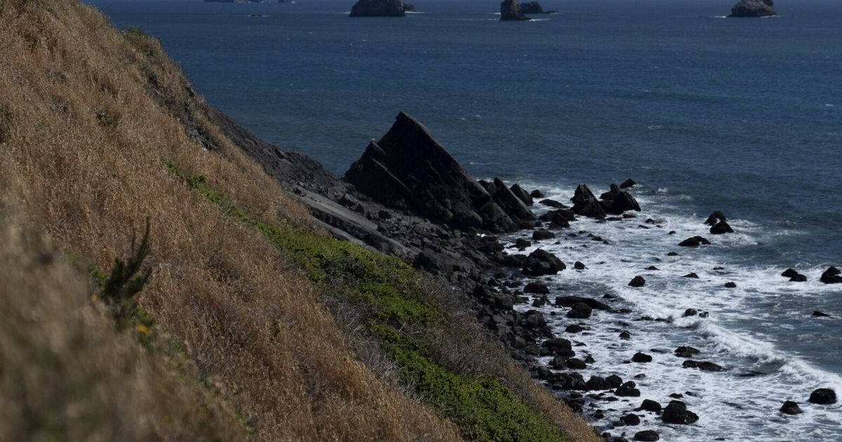 Dozens report feeling 6.0 magnitude earthquake that struck off southern