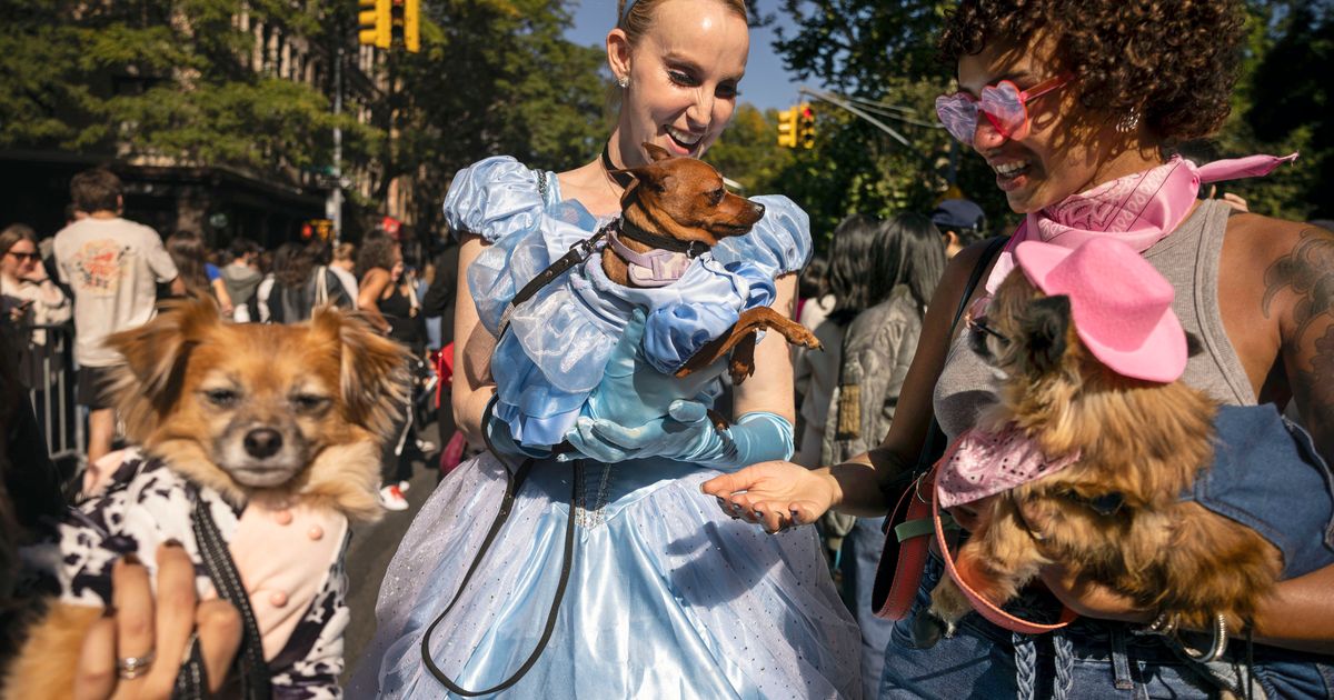 No trick! Halloween temperatures soar above normal in Northeast The