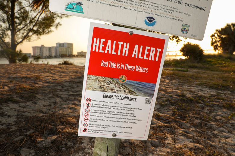 What to know about red tide after Florida&rsquo;s back-to-back 