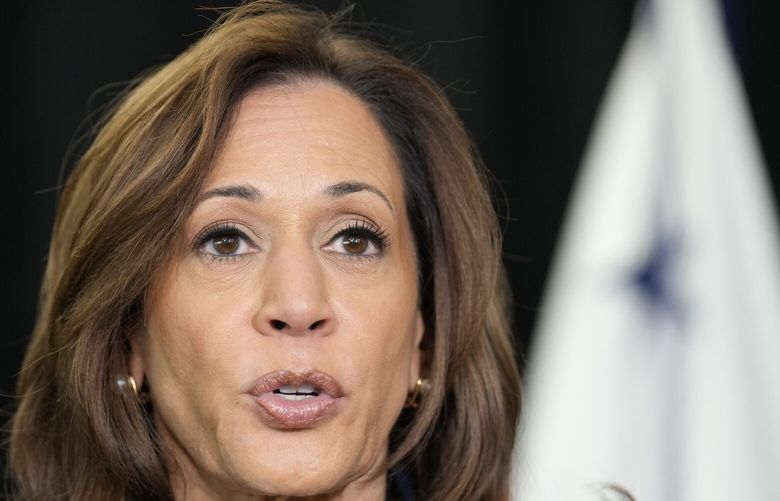 Democratic presidential nominee Vice President Kamala Harris speaks about the killing of Hamas’ top leader Yahya Sinwar in a battle with Israeli forces in Gaza, Thursday, Oct. 17, 2024, following a campaign rally at the University of Wisconsin Milwaukee. (AP Photo/Jacquelyn Martin) WIPU528 WIPU528