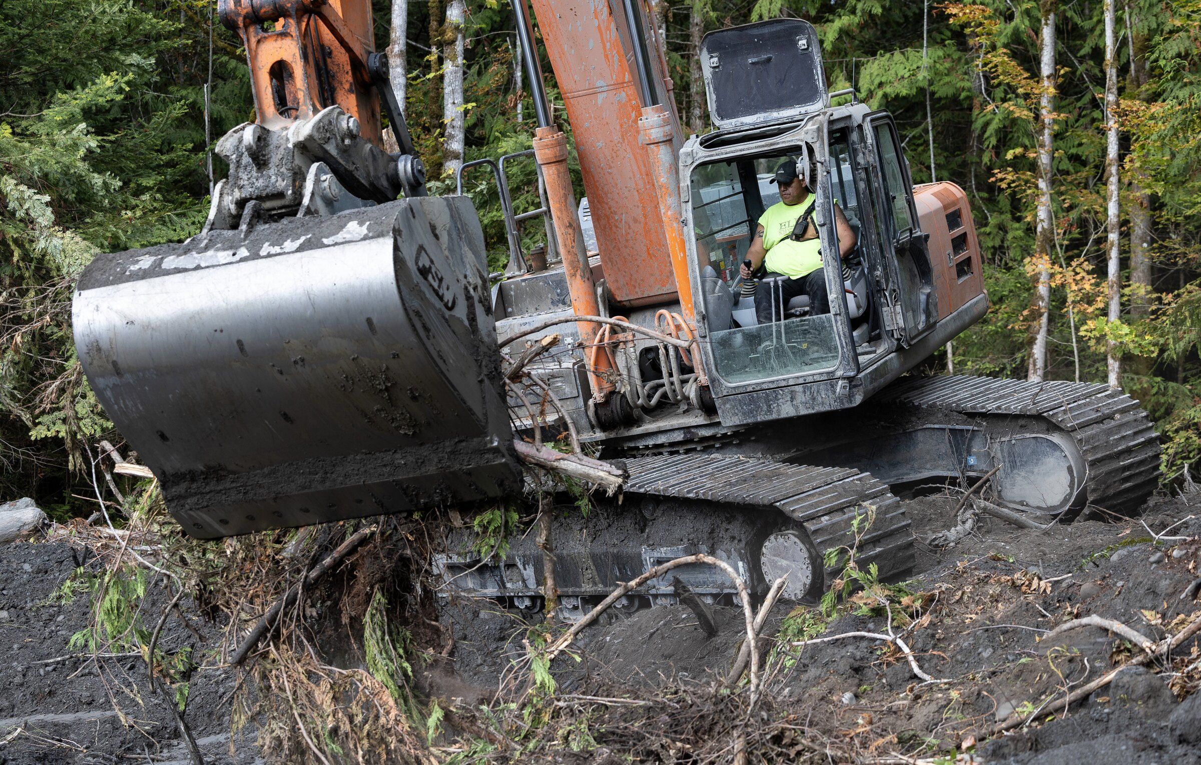The power of a logjam: A vision of the Northwest's rivers of
