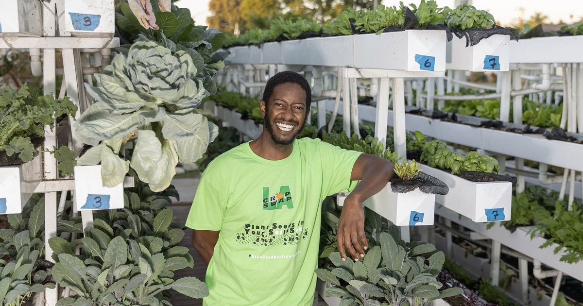 Growing food instead of lawns in California front yards