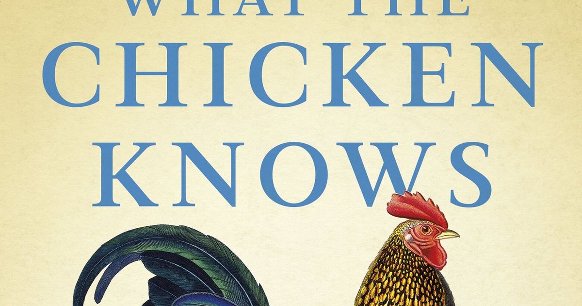 Sy Montgomery shares ‘What the Chicken Knows’ in new mini hardcover