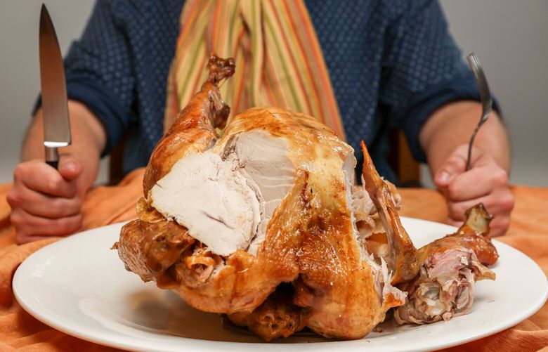 Extra turkey art 225273
