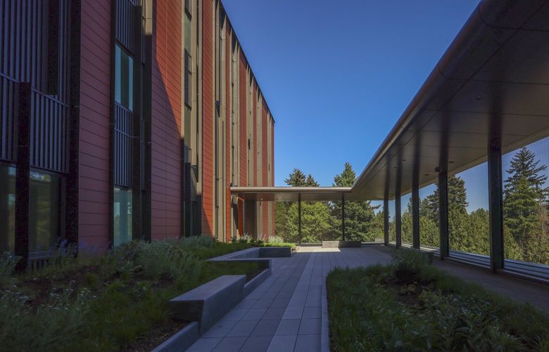 An outdoor area available for patients at the Center for Behavioral Health and Learning on the University of Washington Medical Center Northwest Campus in Seattle. (The Seattle Times, file)
