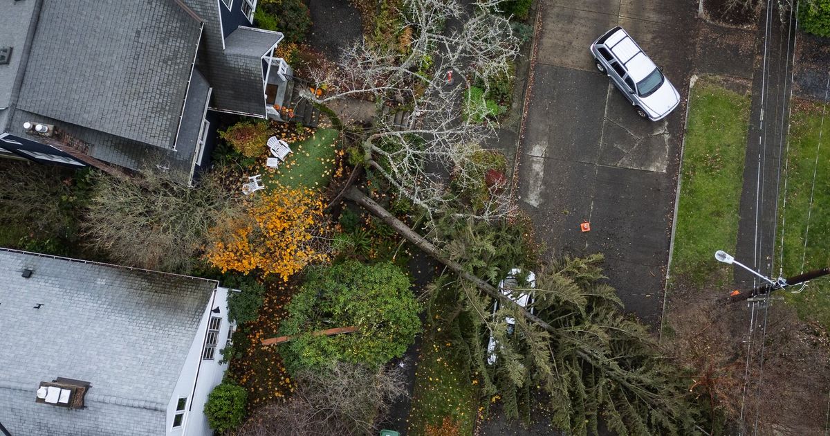 Live: Bomb cyclone: Updates on Seattle area power outages, school closures and more