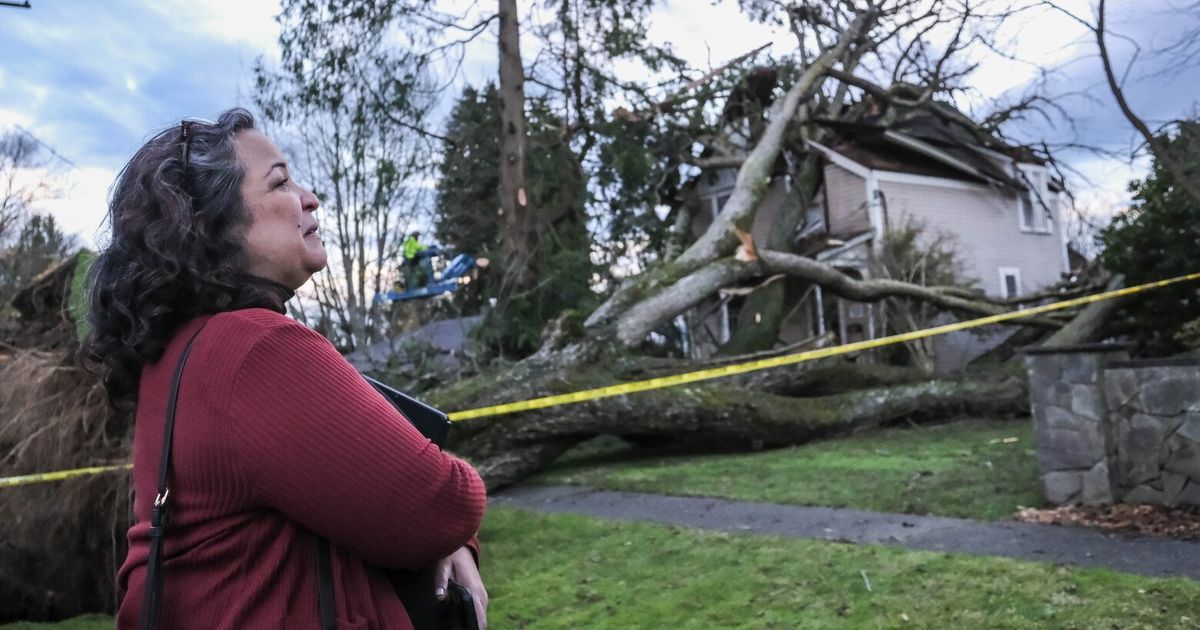 Between cyclones, WA line workers bear burden of keeping lights on