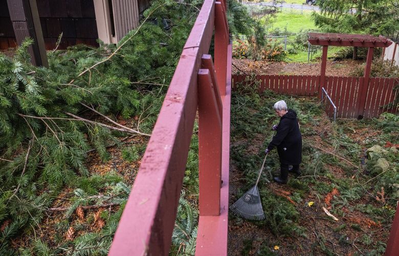 Kit Leahy, 75, who has not had power since 7 p.m. Tuesday night, attempts to clean up around the home where she rents near Matthews Beach, Wednesday morning, Nov. 20, 2024 in Seattle. Thousands remain without power in the aftermath of Tuesday night’s severe weather event.
