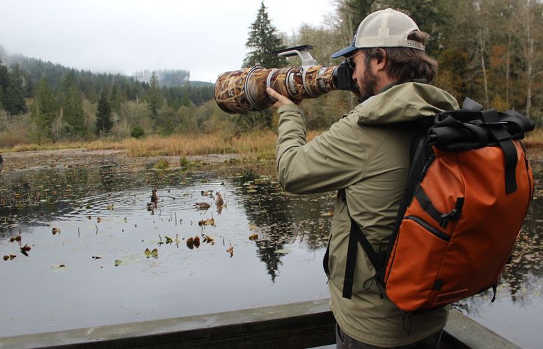 Seattle-based wildlife photographer David Inman trains his camera on Beaver Pond from a viewing platform along the McLane Creek Nature Trail in Capitol State Forest.