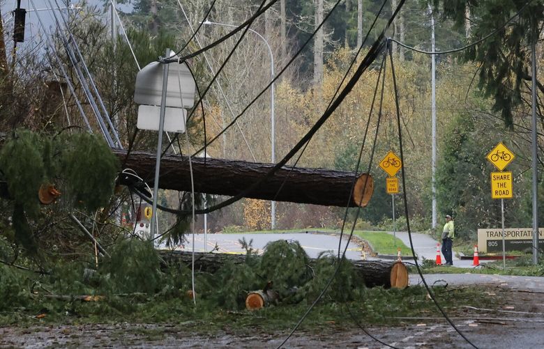 Part of a road is closed due to downed power lines near Issaquah High School in Issaquah on Friday, November 22, 2024. A bomb cyclone tore through western Washington on Wednesday leaving many without power.