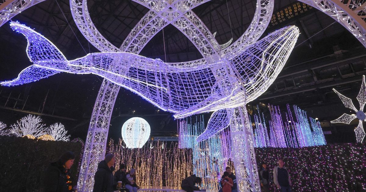 Enchant Christmas returns to Seattle in 2024. Is it worth going?