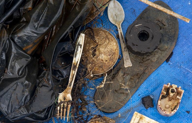 LO

Trash collected during the Underwater Cleanup Day event near Redondo Pier in Des Moines on Saturday, April 24, 2021. The divers aim to collect plastics, cans and other miscellaneous items, but stay clear of glass bottles which can create a livable habitat for marine animals.

Dozens of divers turned out and collected 65 pounds of trash to help protect marine wildlife near the Redondo Beach Pier on Saturday. Divers pulled up items such as fishing lures, a traffic cone, a dishwasher lid, plastics, batteries and automotive parts.

The amount of trash was smaller than previous cleanup days where divers have pulled anywhere from 100-400 pounds at sites such as the Des Moines Marina and Seacrest Ferry Dock in West Seattle. “It’s nice when you can pull up a lot, but really any little bit makes a difference,” SR3 executive director Casey Mclean said. “Sixty-five pounds of trash is now out of the ocean” which helps protect marine wildlife and “prevent micro plastics from getting into the fish and into humans.”

The cleanup day was organized by Seattle Dive Tours, SR3 (Sealife Response, Rehabilitation & Research), and MaST Center Aquarium.