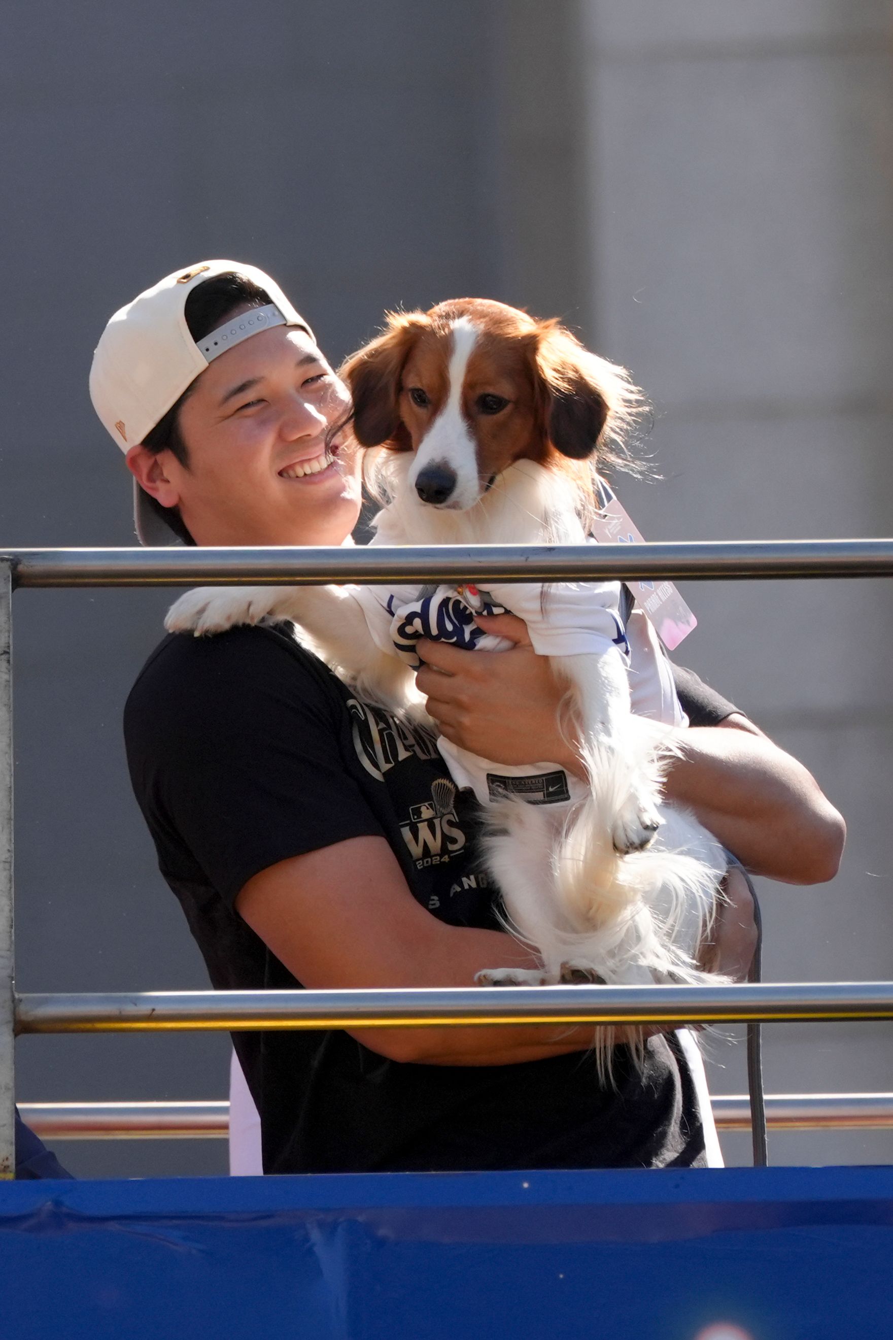 Meet Decoy Ohtani, perhaps the most valuable pet of the World
