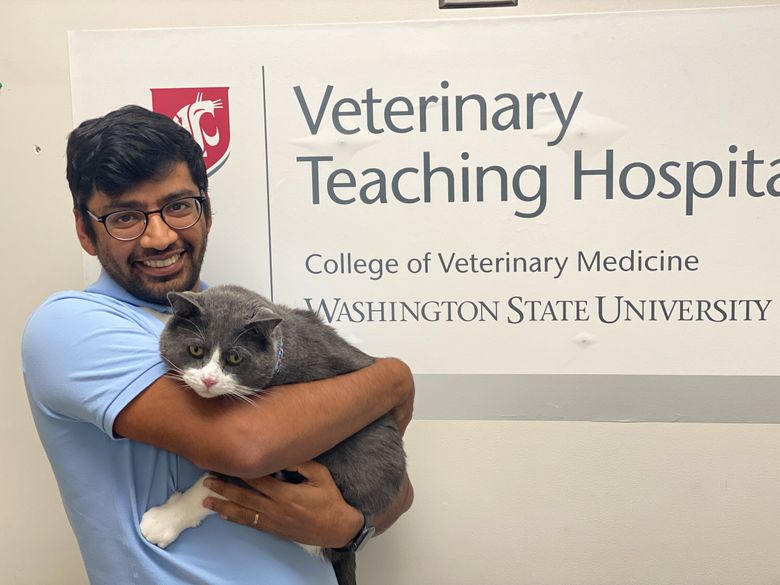 Ngành Thú Y (Veterinary) - Ngành học thế mạnh ở Washington State University (WSU)