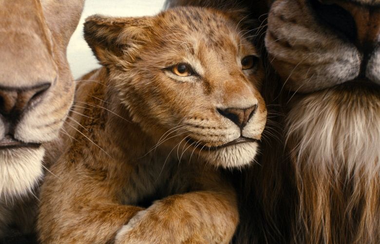 This image released by Disney shows characters Afia, voiced by Anika Noni Rose, left, Mufasa, voiced by Braelyn Rankins, center, and Masego, voiced by Keith David, in a scene from “Mufasa: The Lion King.” (Disney via AP) NYET256 NYET256