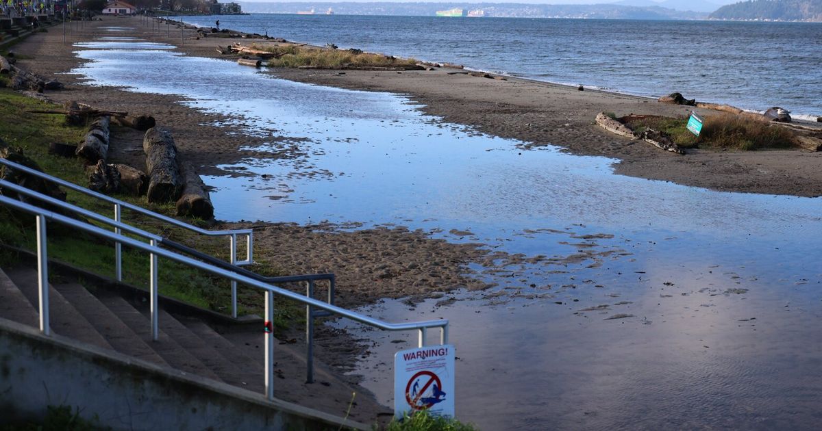 Strong gusts knock out power for tens of thousands in Western WA | The ...