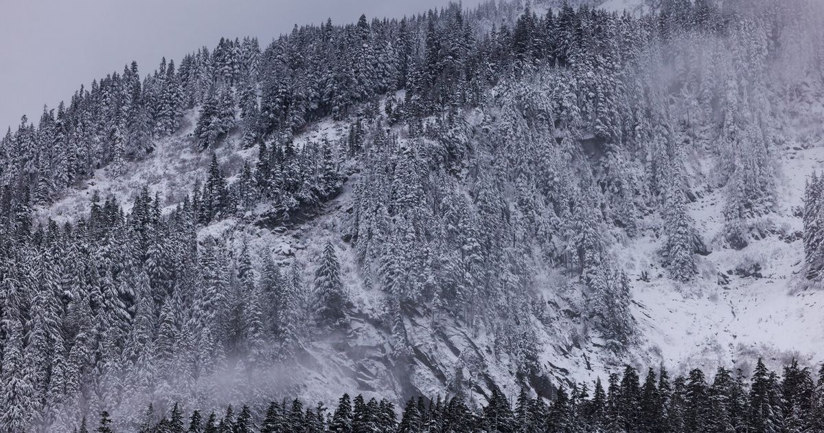 La Niña or ‘La Nada?’ WA starts winter with solid snowpack