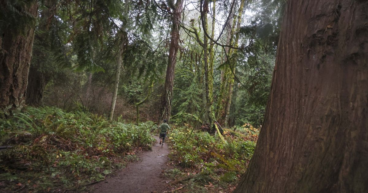 There’s nothing dead about winter in Seattle. This walk proves it