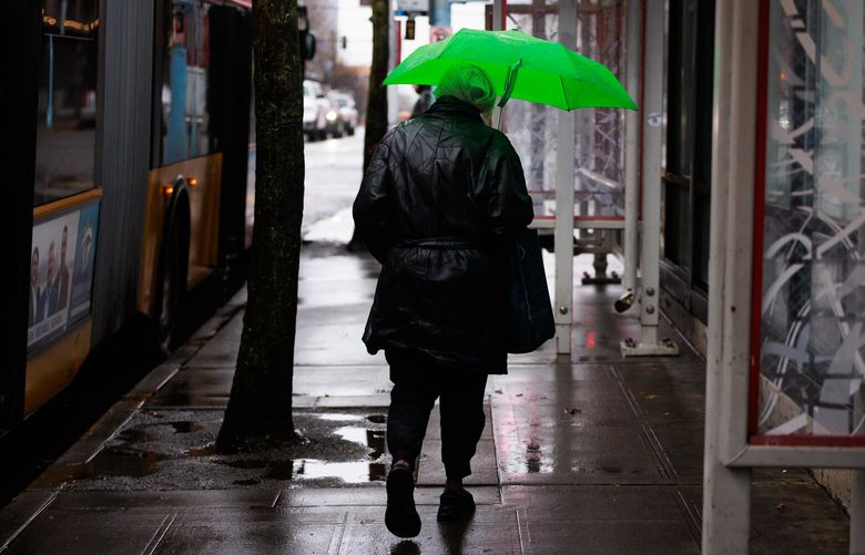 A pedestrian walks through the rain in West Seattle Friday, Nov. 22, 2024. 
LO 228605