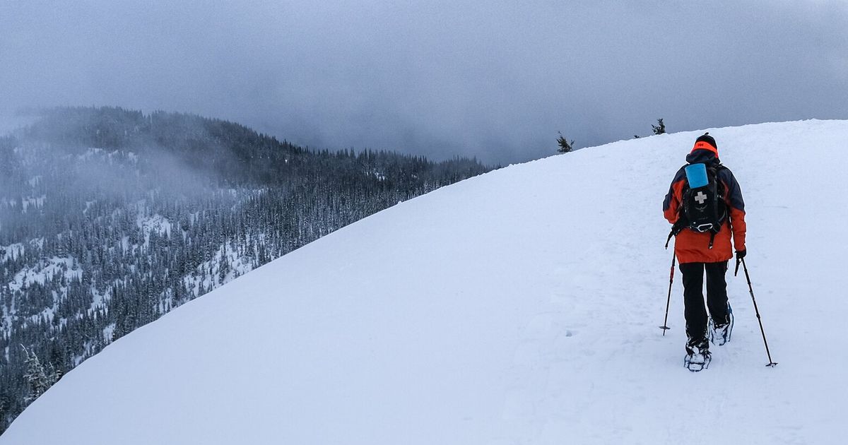 Hurricane Ridge is the ideal WA winter day trip | The Seattle Times
