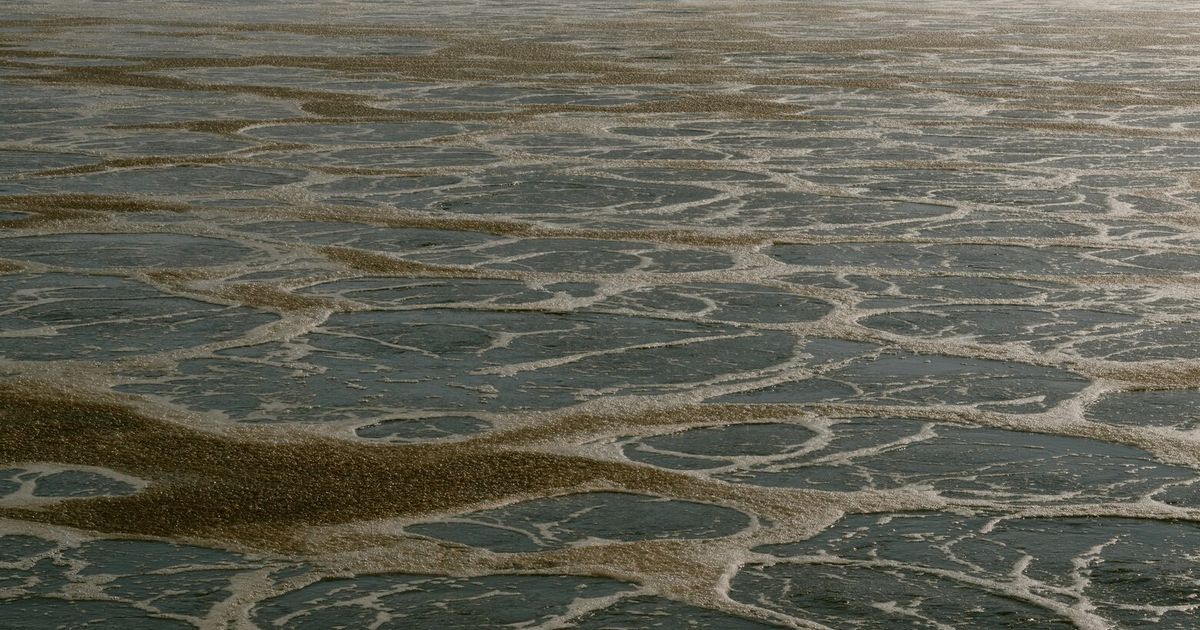 The EPA promotes a toxic fertilizer whose risks it knew about decades ago