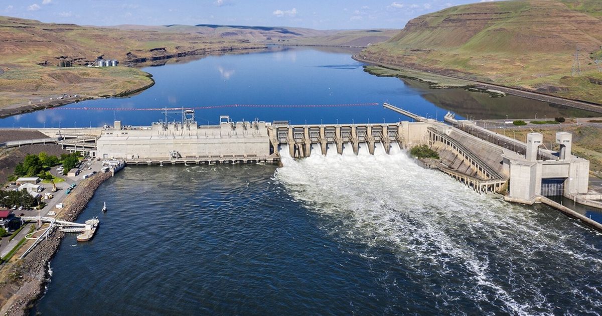 This Oregon biologist had an outsized impact on efforts to save salmon