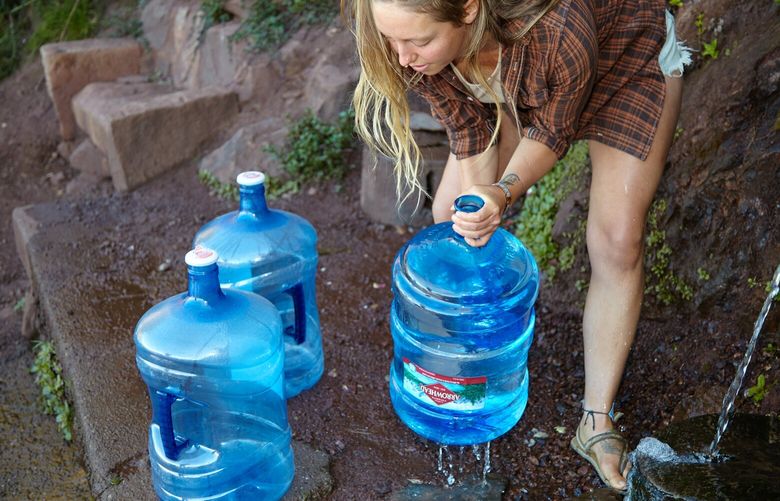 Samantha Reich fills multiple five-gallon jugs of water for her household at Red Rock Spring in Stinson Beach, Calif., Sept. 6, 2024. For those who don’t trust tap, there’s ‘raw water’ and untreated water enthusiasts swear by natural springs. (Jill Schweber/The New York Times)