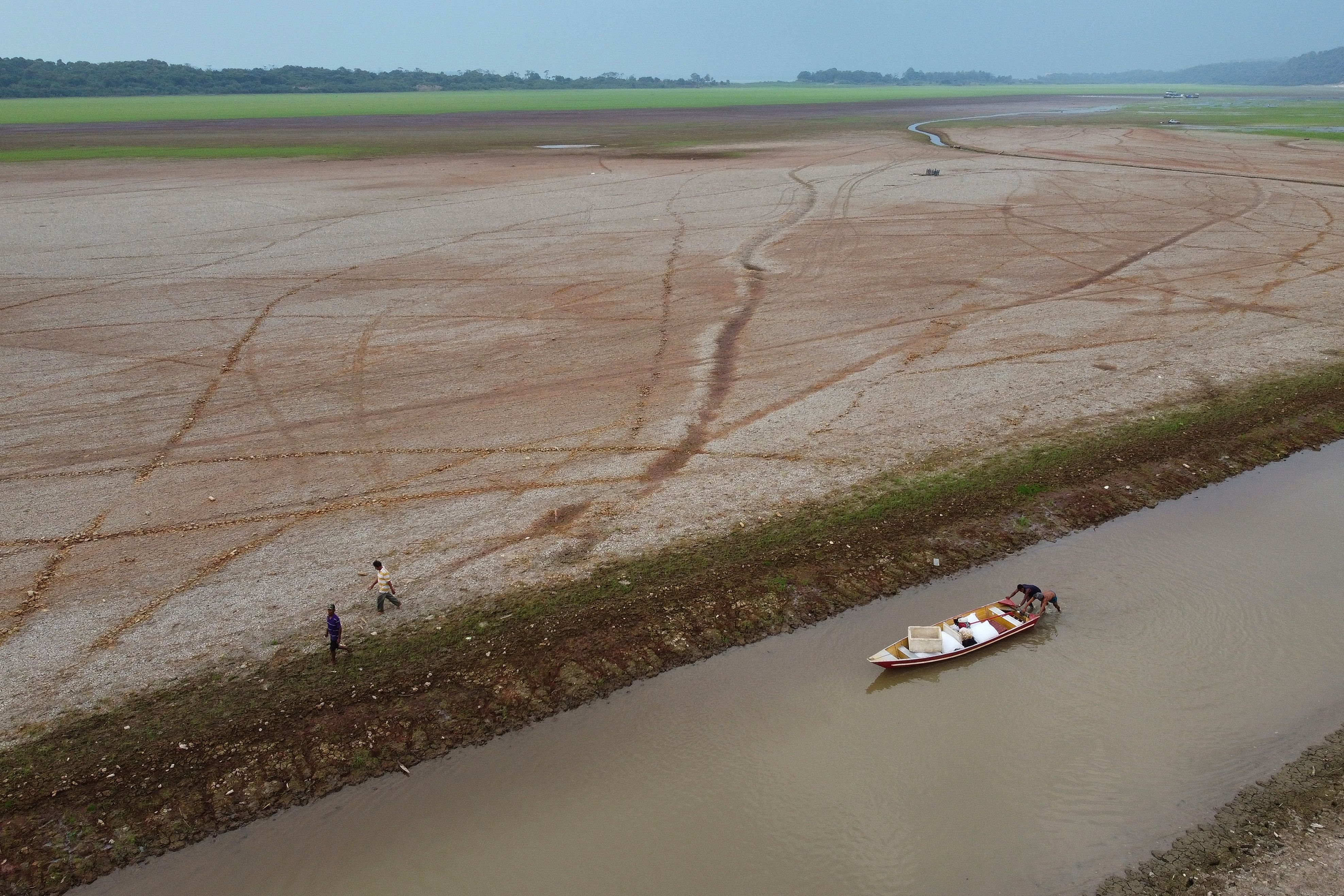 Drought, fires and deforestation battered Amazon rainforest in 2024