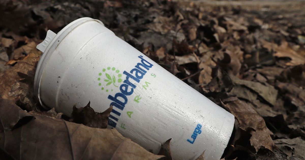 Styrofoam food containers are now banned in Oregon