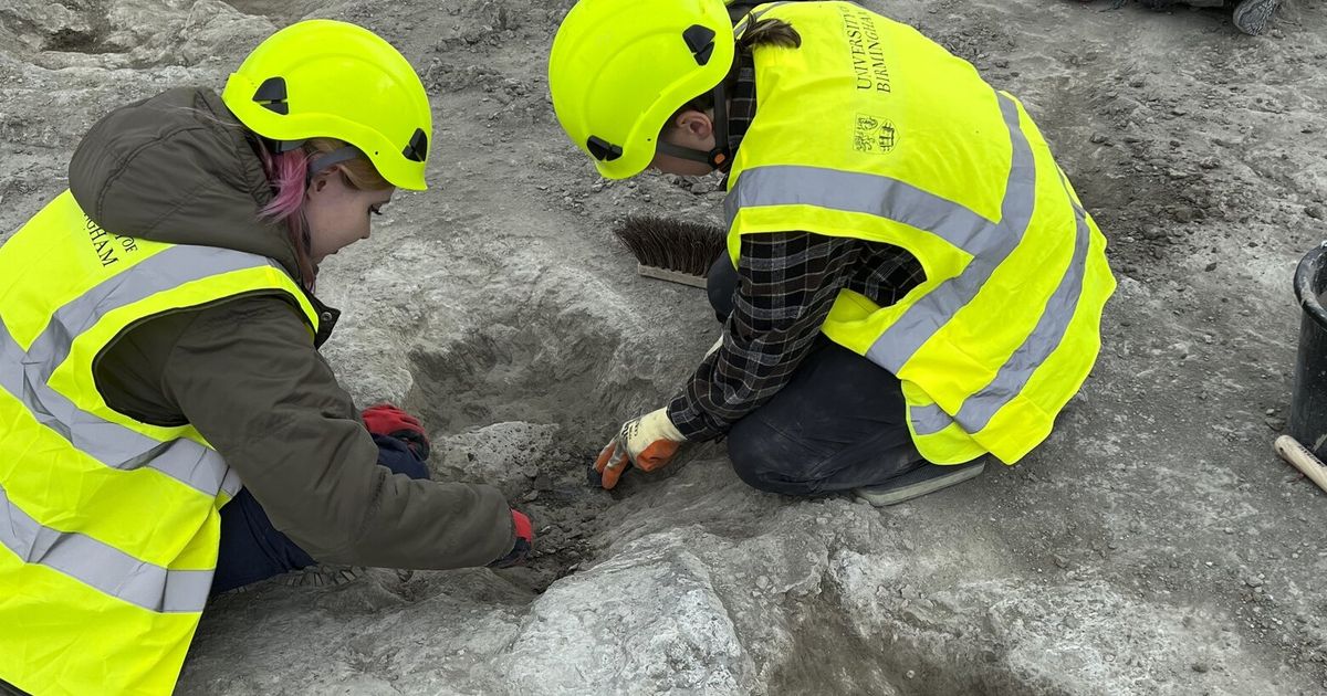 ‘Dinosaur highway’ tracks dating back 166 million years are discovered in England