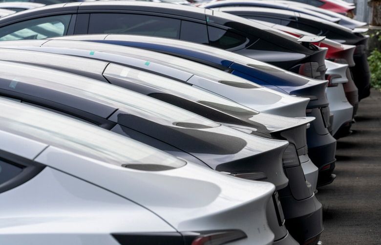 New Tesla vehicles parked at a logistics drop zone in Seattle on Aug. 22, 2024. (M. Scott Brauer / Bloomberg)