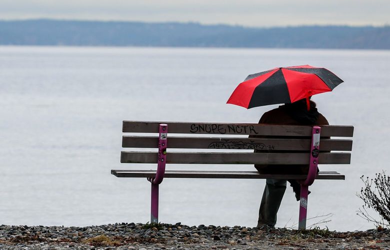 Gray skies greet a beachgoer Thursday afternoon at Golden Gardens in Seattle, Washington, on January 2, 2025. 228966