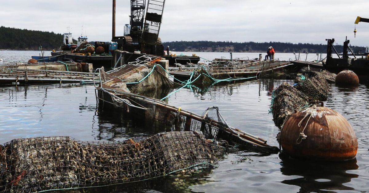 DNR board to vote on future of net-pen fish farming in WA