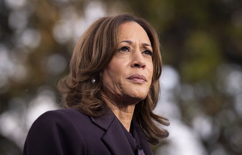 FILE – Democratic presidential nominee Vice President Kamala Harris speaks, Nov. 6, 2024, in Washington. (AP Photo/Jacquelyn Martin, File) WX516 WX516