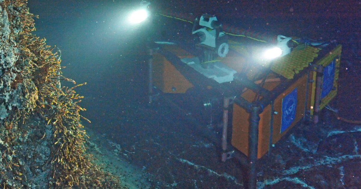 Pacific Northwest’s most active (undersea) volcano could erupt this year