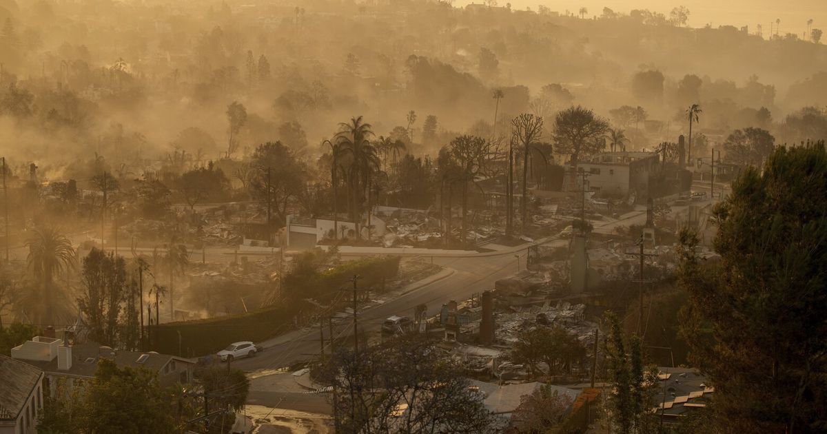 Los Angeles artists mourn as their studios and artworks go up in smoke