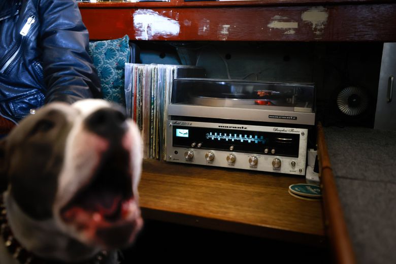 Pea-oui hangs out next to the turntable on the Elwood. (Karen Ducey / The Seattle Times)