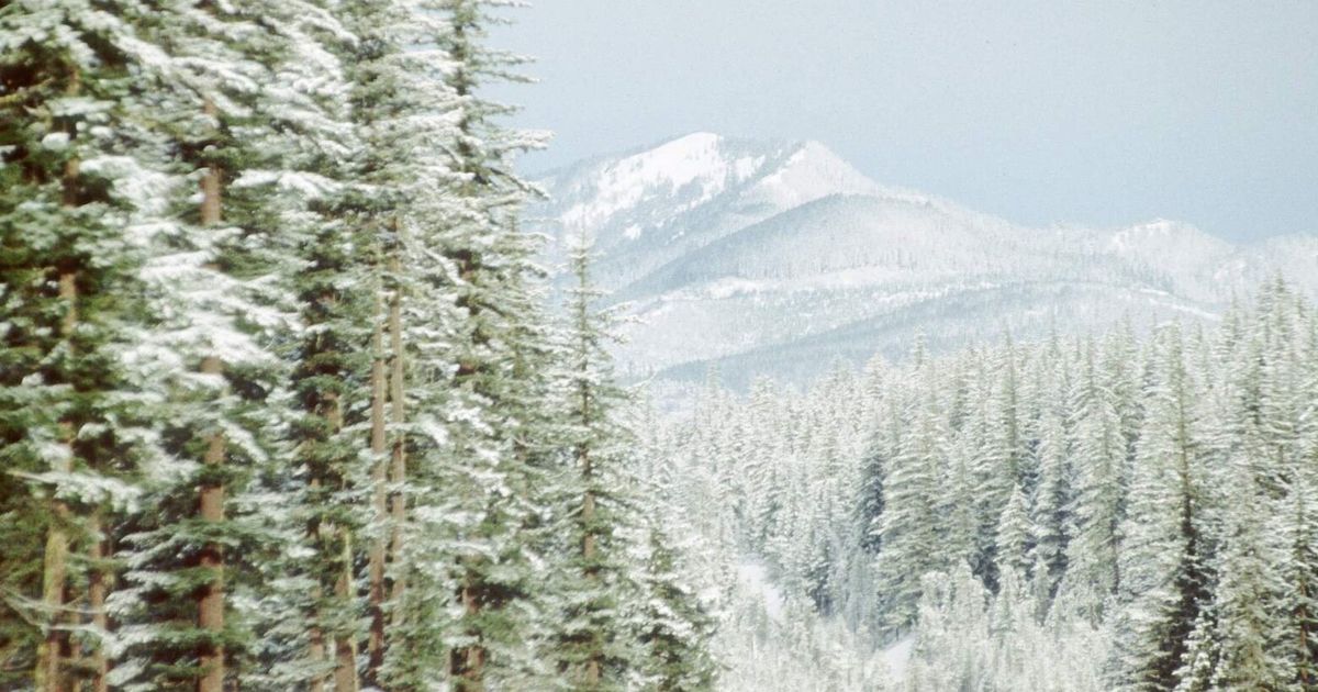 Researchers find huge aquifer hidden atop Oregon’s Cascade Range – The Seattle Times